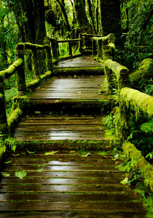 Way to heaven