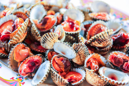 Blood cockle shell scallopの写真素材
