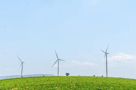 Windmills field