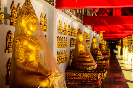 buddaのeditorial素材