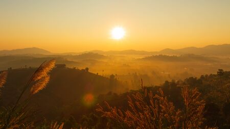 The morning sun and the orange sky above the mountains. The beam of the sun hitting trees and flowers of grass.の写真素材