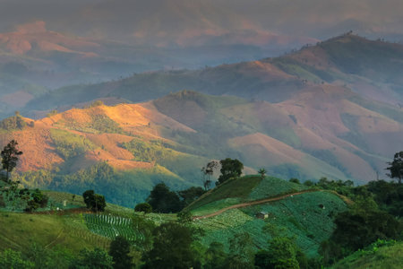 ON the mountainの写真素材