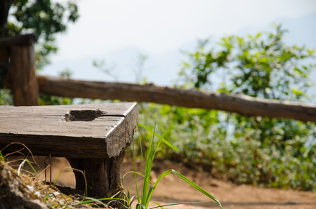 Wooden chair with small grassの写真素材