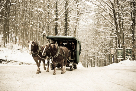 Horse-drawn carriage , Neuschweinstein castle in retro styleの写真素材