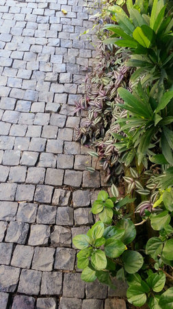 way to the garden