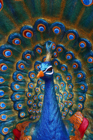 beautiful peacock sculptureの写真素材