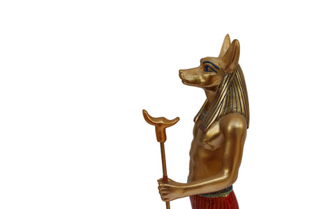 golden anubis isolatedの写真素材