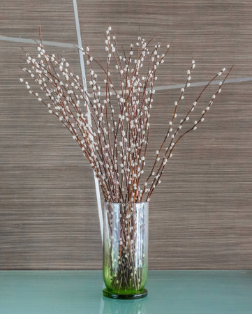 White flowers in a Vasesの写真素材