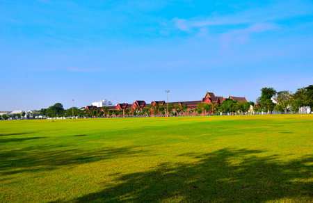 Green grass field with blue sky background in public park, Thailand.の写真素材