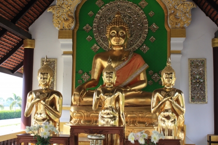 monkの写真素材
