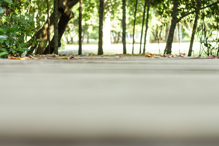 wood bridge walk in the park out of focusの写真素材