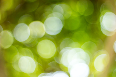 green abstract background out of focusの写真素材