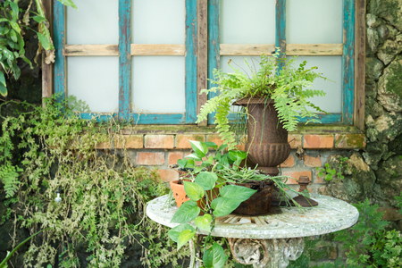 old vase with Ivy on table in gardenの写真素材