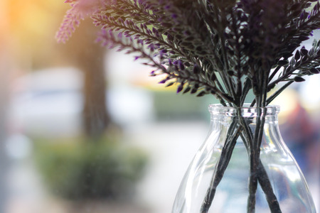 lavender bouquet in glass jar near window with sunlight on blur backgroundの写真素材
