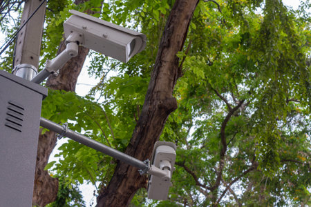 CCTV camera install on traffic pole at the park