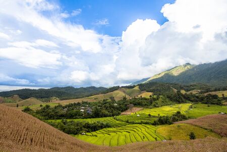 Landscape rice field on the hill in countryside of thailandの写真素材