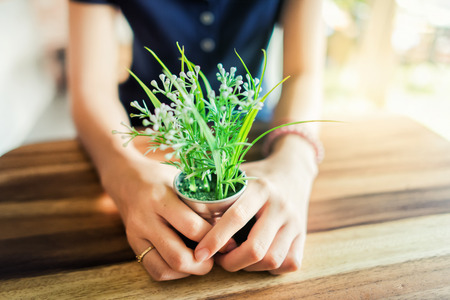 Woman hands holding a flower pot on wooden desk or wait something people at coffee shop.の写真素材