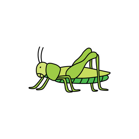 Kids drawing Cartoon Vector illustration cute grasshoper icon Isolated on White Backgroundのイラスト素材