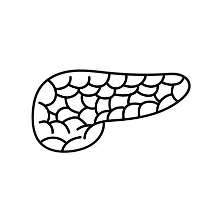 Hand drawn Kids drawing Cartoon Vector illustration pancreas icon Isolated on White Backgroundのイラスト素材