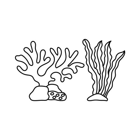 Hand drawn Kids drawing Cartoon ocean plants. Anemones, corals and seaweed, marine kelp, aquarium plants. Underwater reef floraのイラスト素材