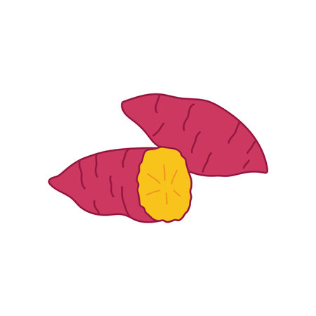 Kids drawing Cartoon Vector illustration sweet potato icon Isolated on White Backgroundのイラスト素材