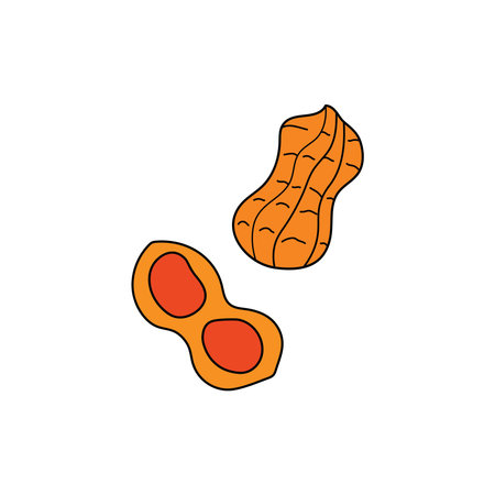 Kids drawing Cartoon Vector illustration peanut icon Isolated on White Background