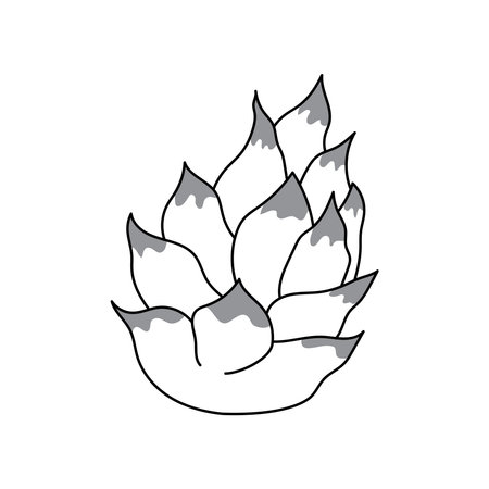 Hand drawn Kids drawing Cartoon Vector illustration dragon fruit icon Isolated on White Backgroundのイラスト素材