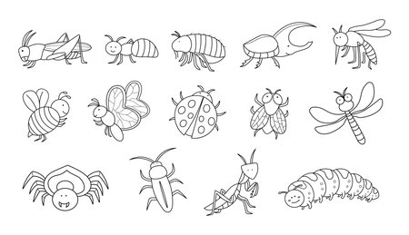 Hand drawn Kids drawing Cartoon Big set of insects, grasshopper, ant, flea, beetle, mosquito, bee, butterfly, ladybug, fly, dragonfly, spider, cockroach, mantis, catterpillarのイラスト素材