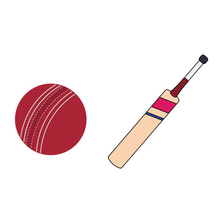 Cartoon Vector illustration cricket bat and balls sport icon Isolated on White Background