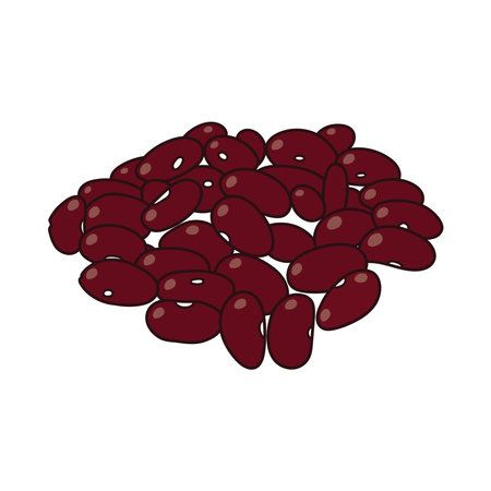 Kids drawing vector Illustration red beans in a cartoon style Isolated on White Backgroundのイラスト素材