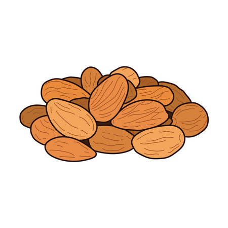 Kids drawing vector Illustration almonds in a cartoon style Isolated on White Backgroundのイラスト素材