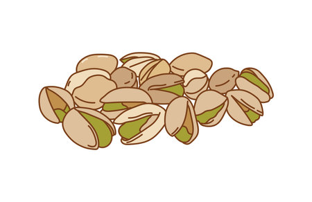 Kids drawing vector Illustration pistachios in a cartoon style Isolated on White Backgroundのイラスト素材