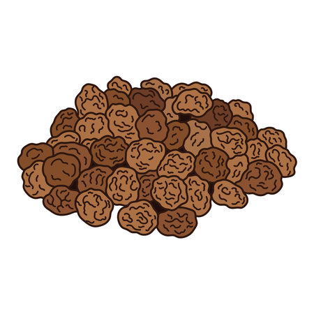 Kids drawing vector Illustration tiger nuts in a cartoon style Isolated on White Backgroundのイラスト素材