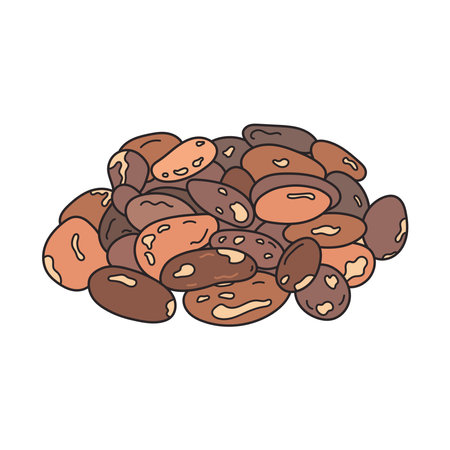 Kids drawing vector Illustration cacao beans in a cartoon style Isolated on White Backgroundのイラスト素材