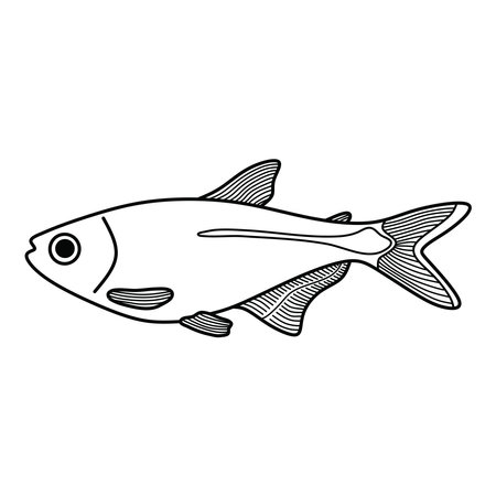 Hand drawn Cartoon Vector illustration buenos aires tetra fish icon Isolated on White Backgroundのイラスト素材