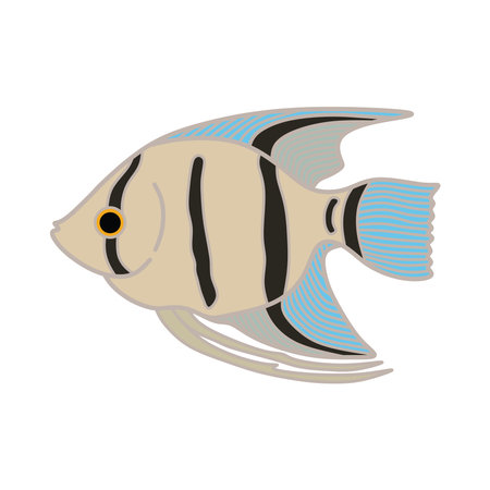 Cartoon Vector illustration angelfish icon Isolated on White Backgroundのイラスト素材