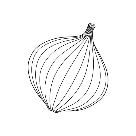 Hand drawn kids drawing red onion cartoon isolatedのイラスト素材