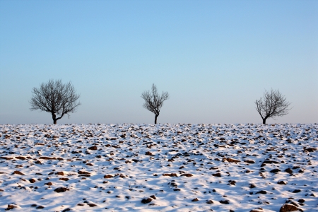 winter fieldの写真素材