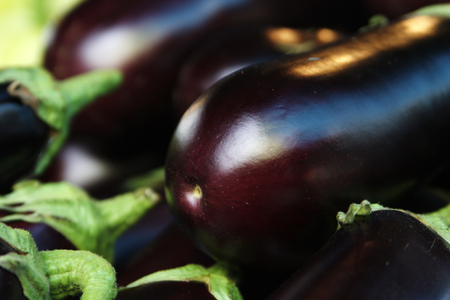 eggplantの写真素材