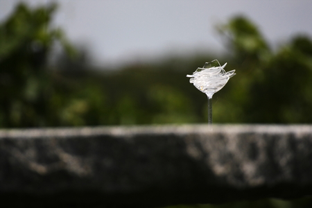 broken wine cup on the table in vineyardの写真素材