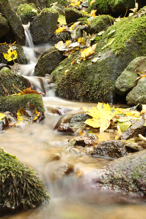 autumn spring cascadeの写真素材