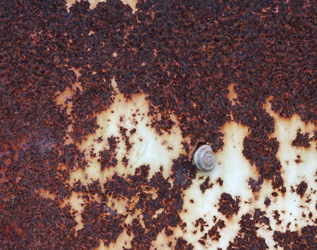 old rusty metal sheet with snail and peeling old paint, texture