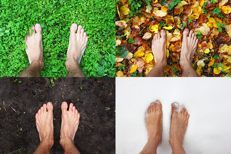 four season - bare man feet stands on summer green grass, winter snow, autumn leaves, spring ground, close up top view, with copy spaceの写真素材