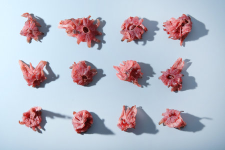 evenly arranged rows of dried sweet hibiscus flowers on light blue background, pattern of candied fruit, copy spaceの写真素材