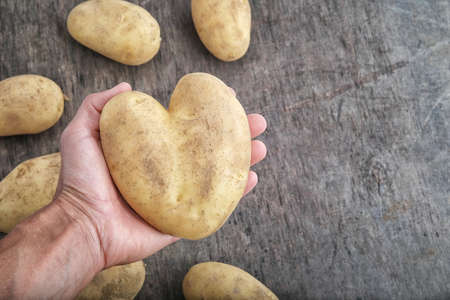 big potato in shape of heart in farmer hand on a background of rustic wooden table, food meal or dishes for valentine's day, vegan or vegetarian food, copy spaceの写真素材