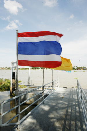 thai flag in the windの写真素材