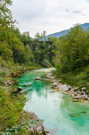 Beautiful turquoise Soca river valley in a forest with mountains in Slovenia. Perfect summer day.の写真素材