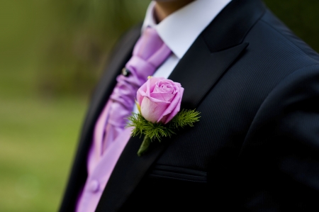Rose in a groom suiteの写真素材