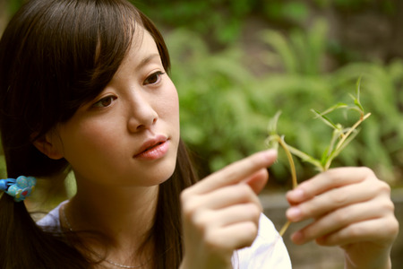 Chinese girls are observing plants の写真素材
