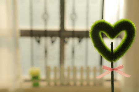 Heart-shaped plantの写真素材